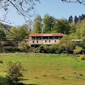 Sycomore, La Bouriotte Labastide-Rouairoux